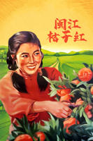 桔子在线观看免费高清电视剧完整版
