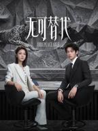 无可替代电视剧免费观看全集高清完整